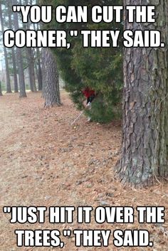 69c922747abe44367924bcbf9510a4b5--funny-sports-memes-funny-golf